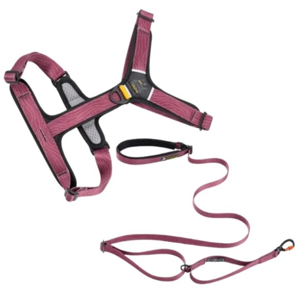 Ollydog Alpine Reflective Comfort Harness and Flagstaff Adjustable Leash - Picture 1 of 7